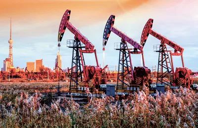 微信图片_20250714110428