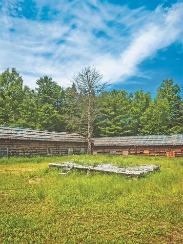 微信图片_2025-10-21_094745_462